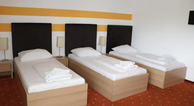 Трёхместный номер Standard Lenas Donau Hotel