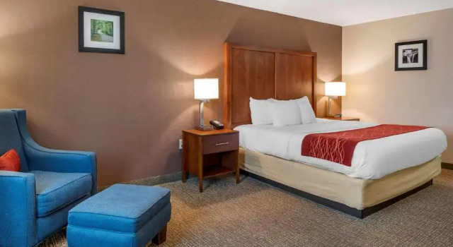 Номер Standard Comfort Inn & Suites Lawrenceburg