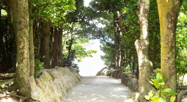 Kunigami-gun - House - Vacation STAY 91572
