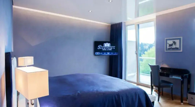 Люкс Schwitzers Hotel am Park