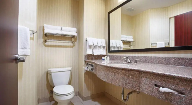 Номер Standard Best Western Plus Waxahachie Inn & Suites
