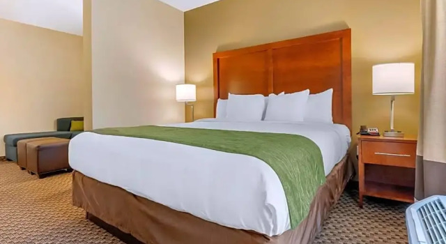 Одноместный люкс Comfort Inn & Suites Florence Center Area