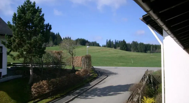 Апартаменты Kuckucksnest Lenzkirch