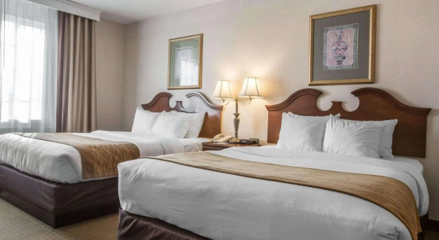Comfort Inn & Suites East Greenbush - Albany, Book Hotel East Greenbush Hudson Valley
