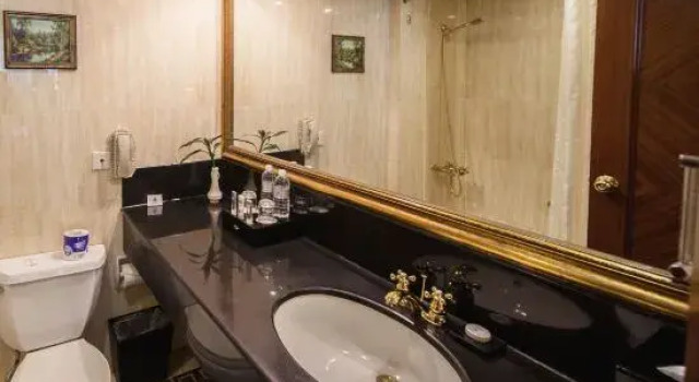 Одноместный номер Standard Отель Shanghai Park
