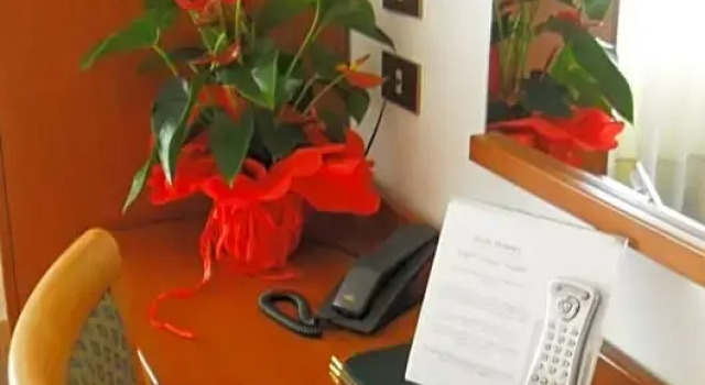 Номер Standard Hotel Florida