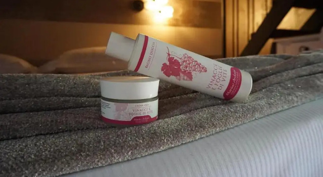Номер Standard Agriturismo & Agricamping Serena