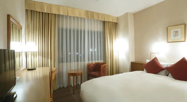Двухместный номер Moderate Dai-ichi Hotel Ryogoku