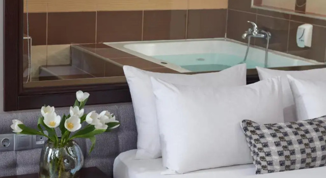 Полулюкс Maison Hotel