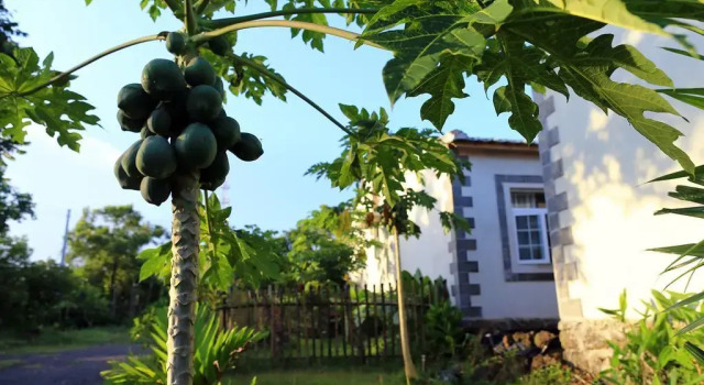 Hualizhijia Hostel, Book Hostel Haikou Hainan