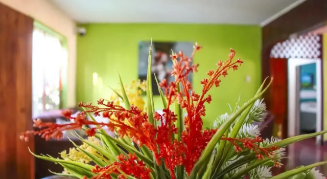 Hostal Casa Mauro, Rezervovat Hotel Moyogalpa 