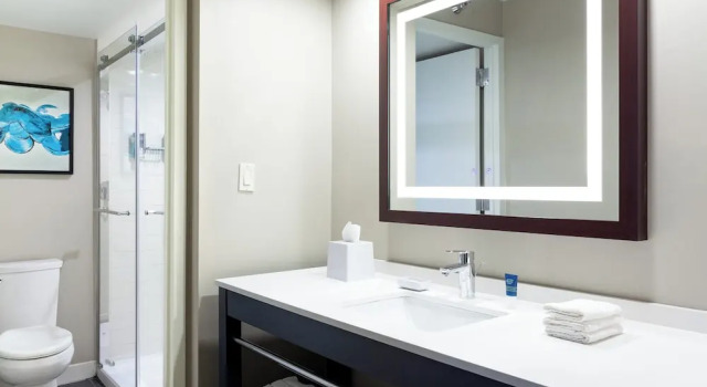 Люкс c 1 комнатой Four Points by Sheraton Orlando Convention Center