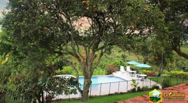 Трёхместный номер Standard Finca La Colmena De Don Juaco