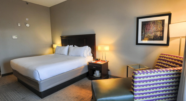 Holiday Inn Express Hotel & Suites Pell City by IHG, Book Hotel Pell City Alabama