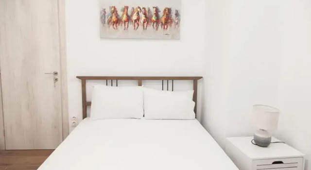 Gorgeous Apartment in Athens GTD8280-02