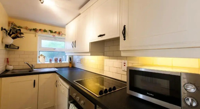 Апартаменты Цокольный этаж Dublin Vacation Rentals