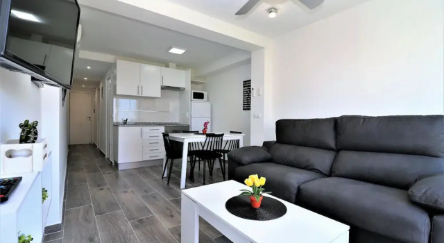 Apartamento Albatros 9-6