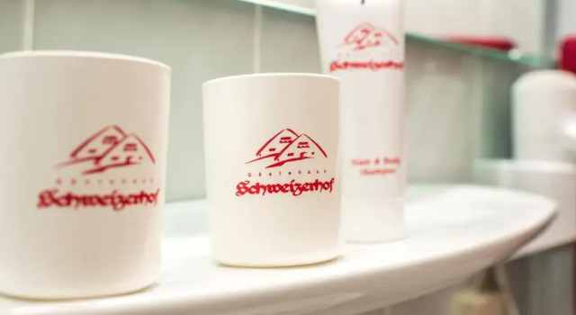 Номер Standard Hotel Schweizerhof