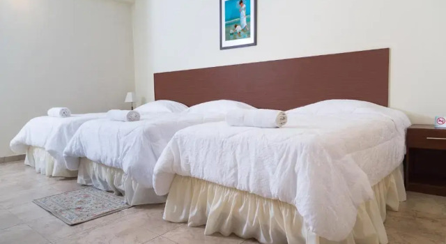 Номер Standard Hosteria Palmetto