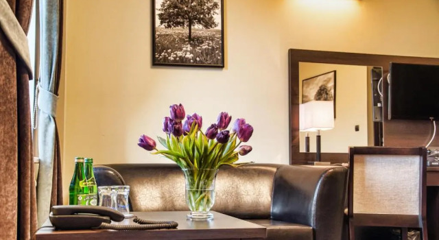 Двухместный номер Classic Hotel Ilan