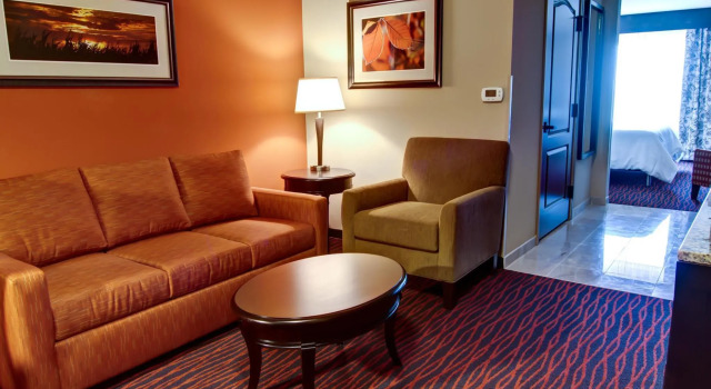 Номер Deluxe Hilton Garden Inn Rapid City
