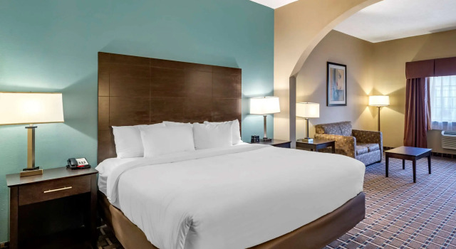 Двухместный люкс Comfort Suites Clovis North
