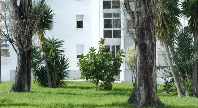 Апартаменты Olive Grove Apartment by Trip2Portugal