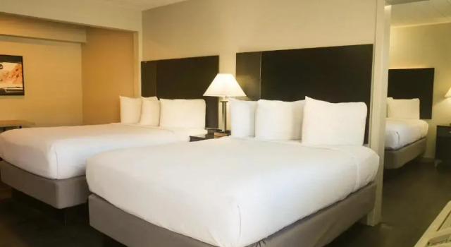 Superior- værelse Americana Modern Hotel