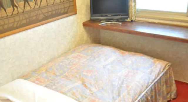 Двухместный номер Standard Green Hotel Rich Tokugawaen