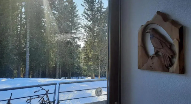 Апартаменты La Petite Foret Chamrousse 1700