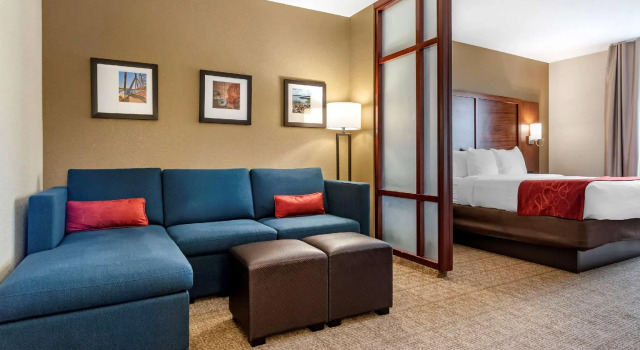 Люкс c 1 комнатой Comfort Suites Flowood - Jackson Airport