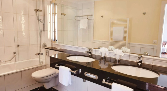 Двухместный номер Superior Steigenberger Icon Grandhotel Belvédère