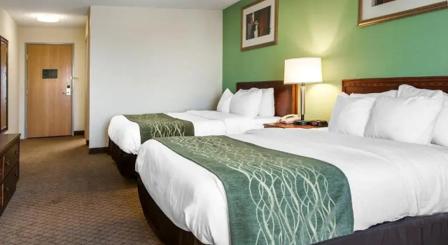 Четырёхместный номер Standard Comfort Inn Goshen