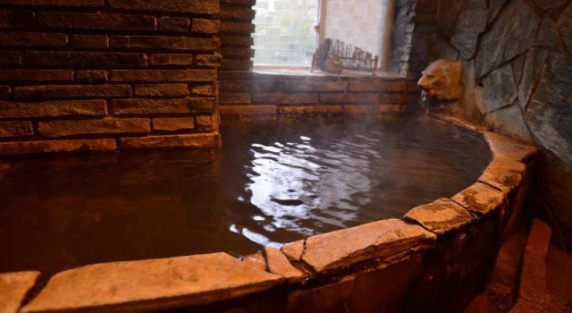 Ryokan Ito, Prenota Hotel Ebino 