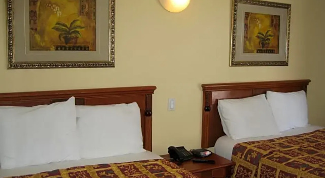 Номер Deluxe Flamingo Inn Long Beach