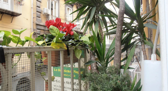 B&B Plebiscito Home
