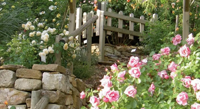 Номер Standard Les Jardins de lAbbaye