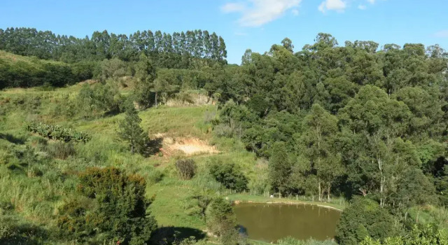 Pousada Sítio do Pica Pau