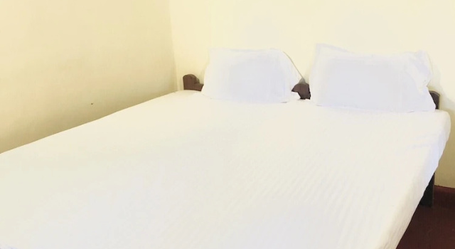 Номер Standard с балконом Punarjani Ayurvedic Resorts