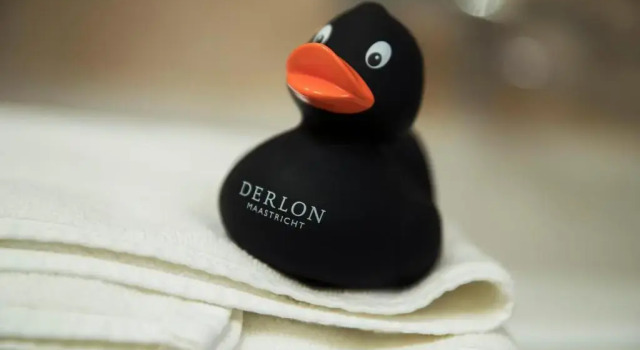 Апартаменты c 1 комнатой Hotel Derlon