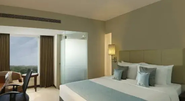Номер Deluxe Grand Mercure Vadodara Surya Palace