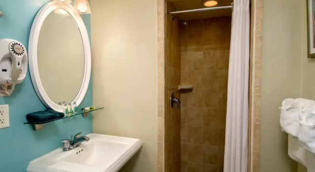 Номер Standard Palm Pavilion Inn