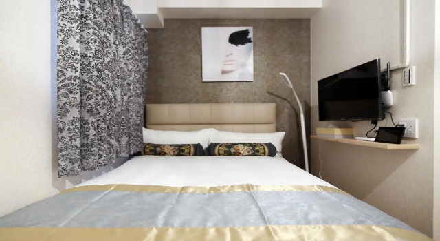 Двухместный номер Standard SHINJUKU GLOBAL HOTEL