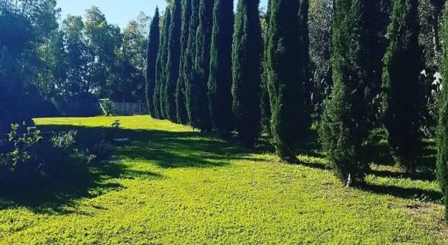 Номер Standard Il piccolo Borgo