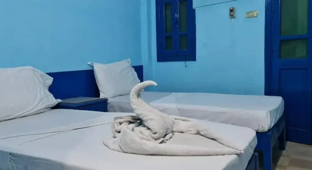 Двухместный номер Standard Oasis hotel