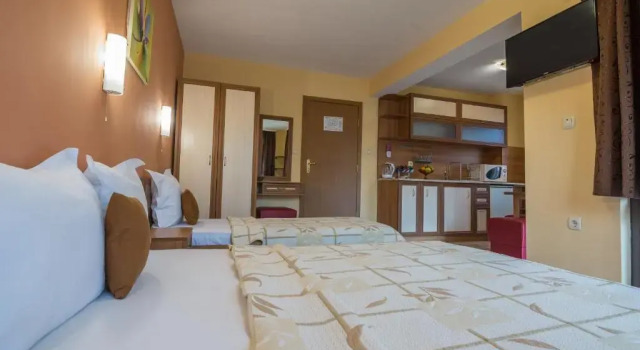 Студия Boutique Guest House IKONOMOV