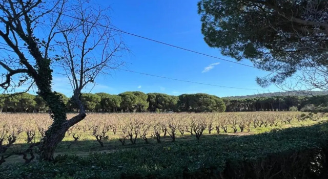 Вилла с балконом Villa in Gassin Near Saint Tropez Beaches