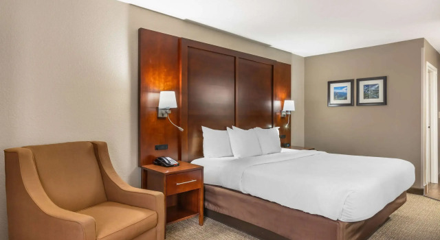 Двухместный номер Standard Comfort Inn & Suites Conway