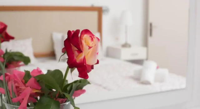Студия Standard Averto Corfu Apartments