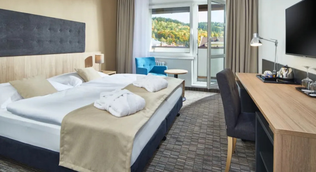 Двухместный номер Deluxe с балконом Spa Hotel Devin